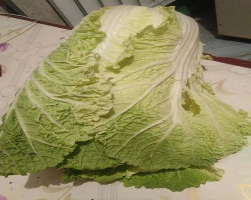 金峰3號(hào),水溶肥生產(chǎn)廠家