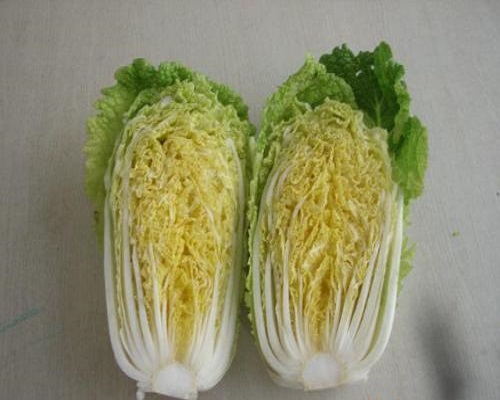 京秋黃心70,?；ū９~面肥