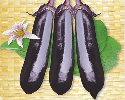國(guó)茄1號(hào),氨基酸水溶肥