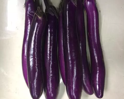福茄5號(hào),進(jìn)口沖施肥